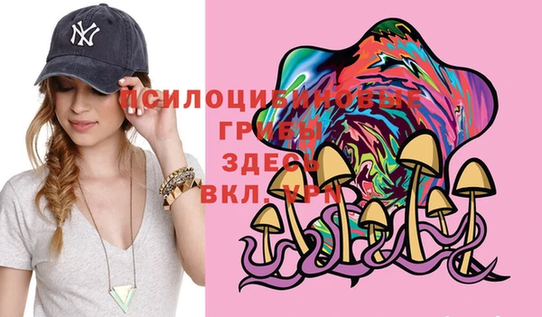 дживик Нея