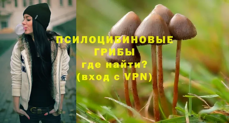 Псилоцибиновые грибы MAGIC MUSHROOMS  Грайворон 